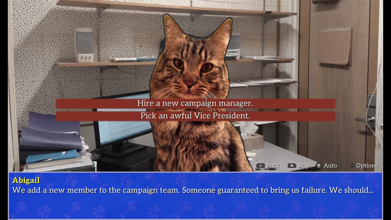Cat President: A More Purrfect Union Screenshot 4
