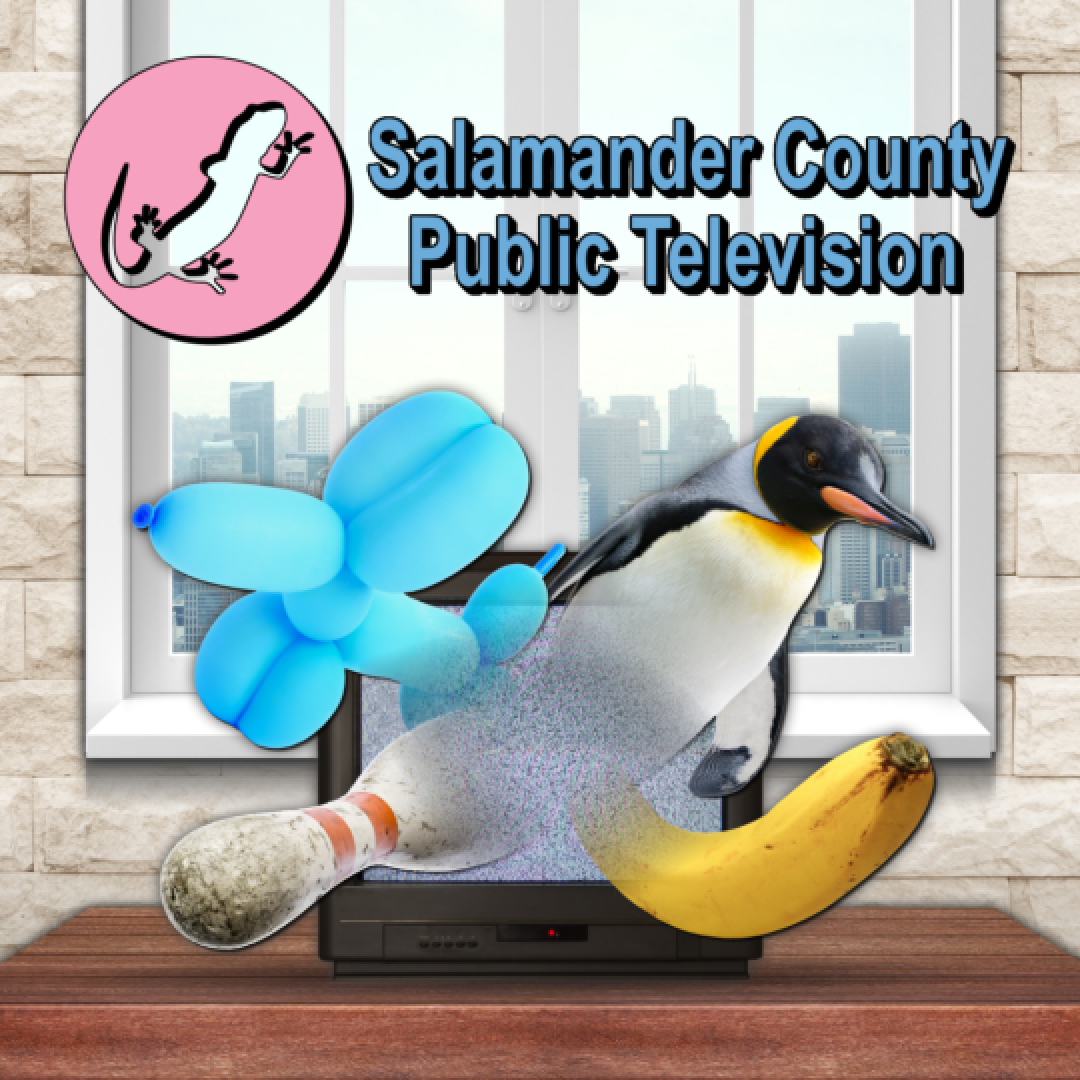 Salamander County Public Television